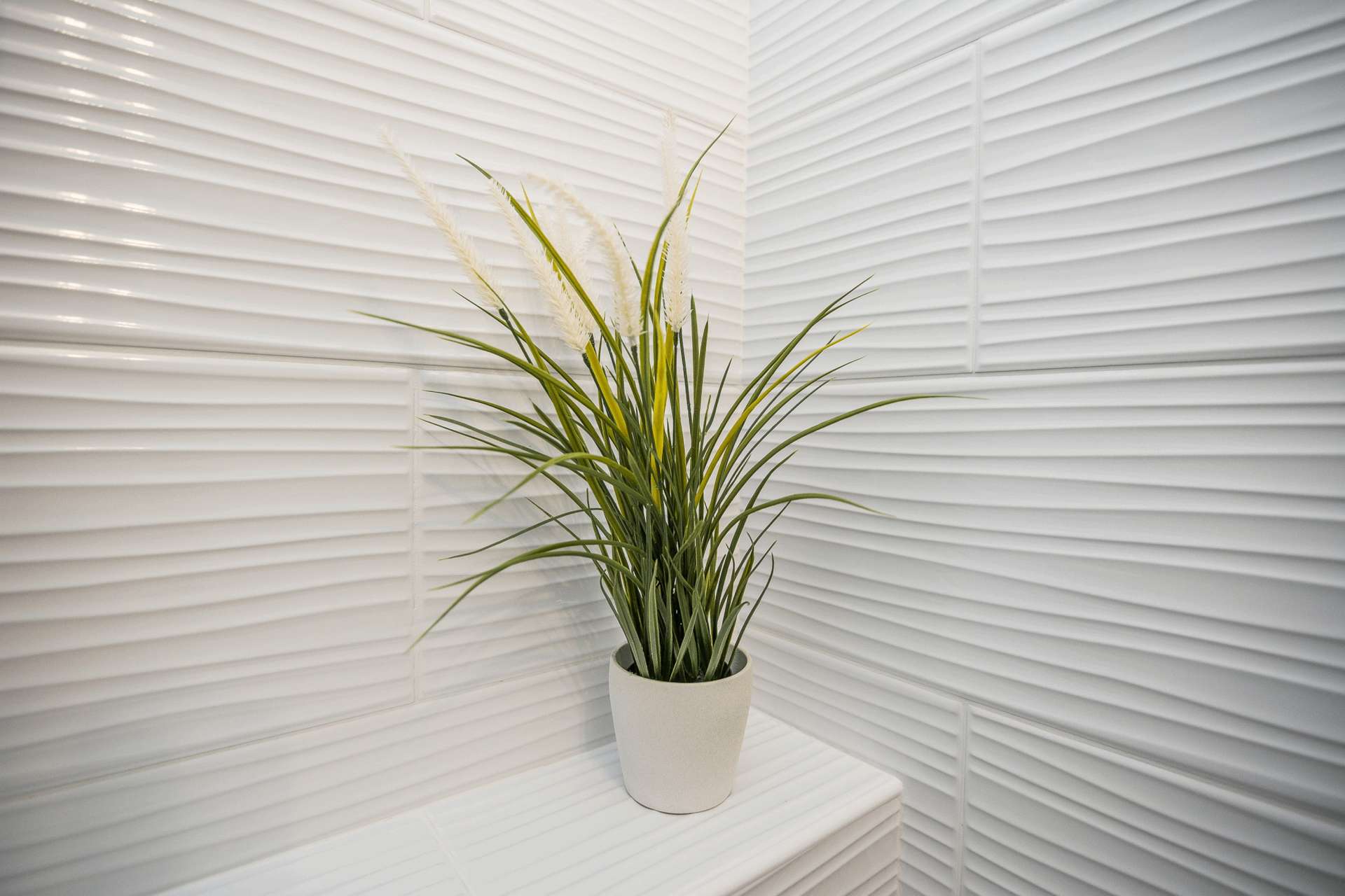 Apartment Kosic 4