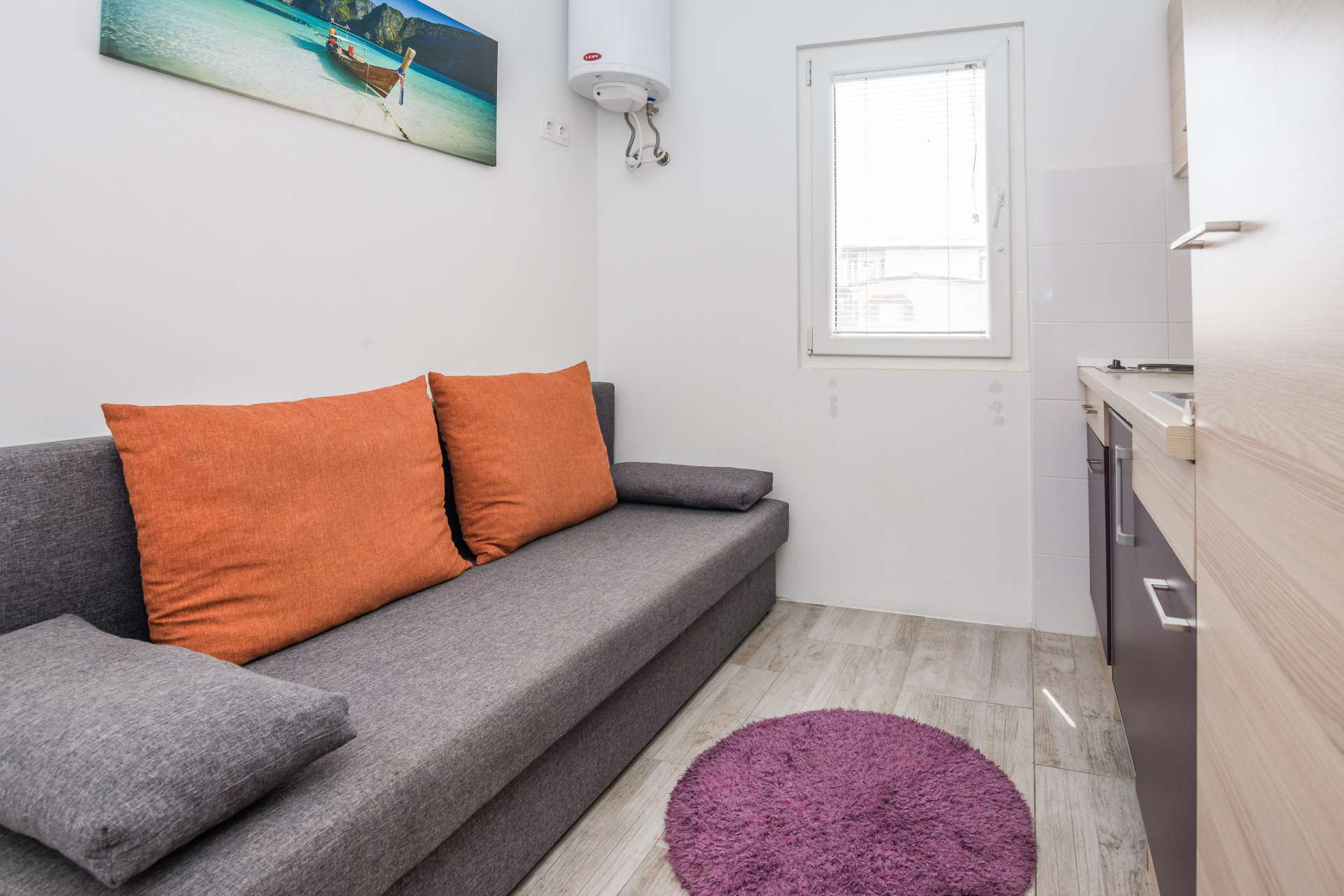 Apartment Ivanusevic 1