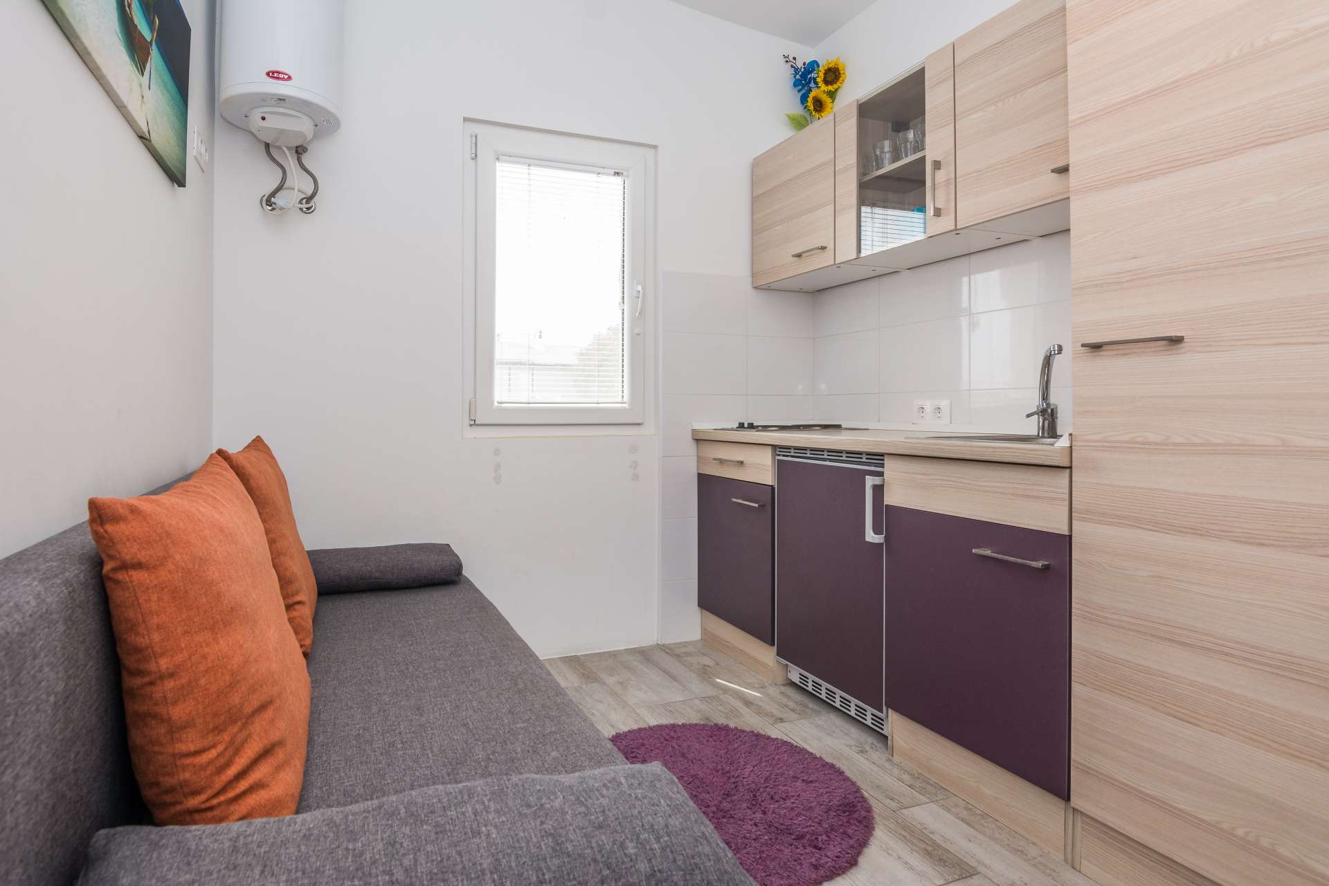 Apartment Ivanusevic 1
