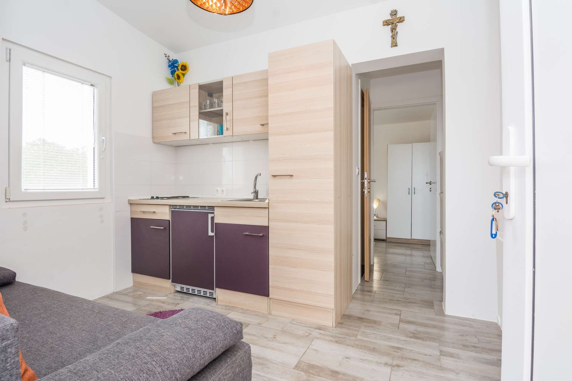 Apartment Ivanusevic 1
