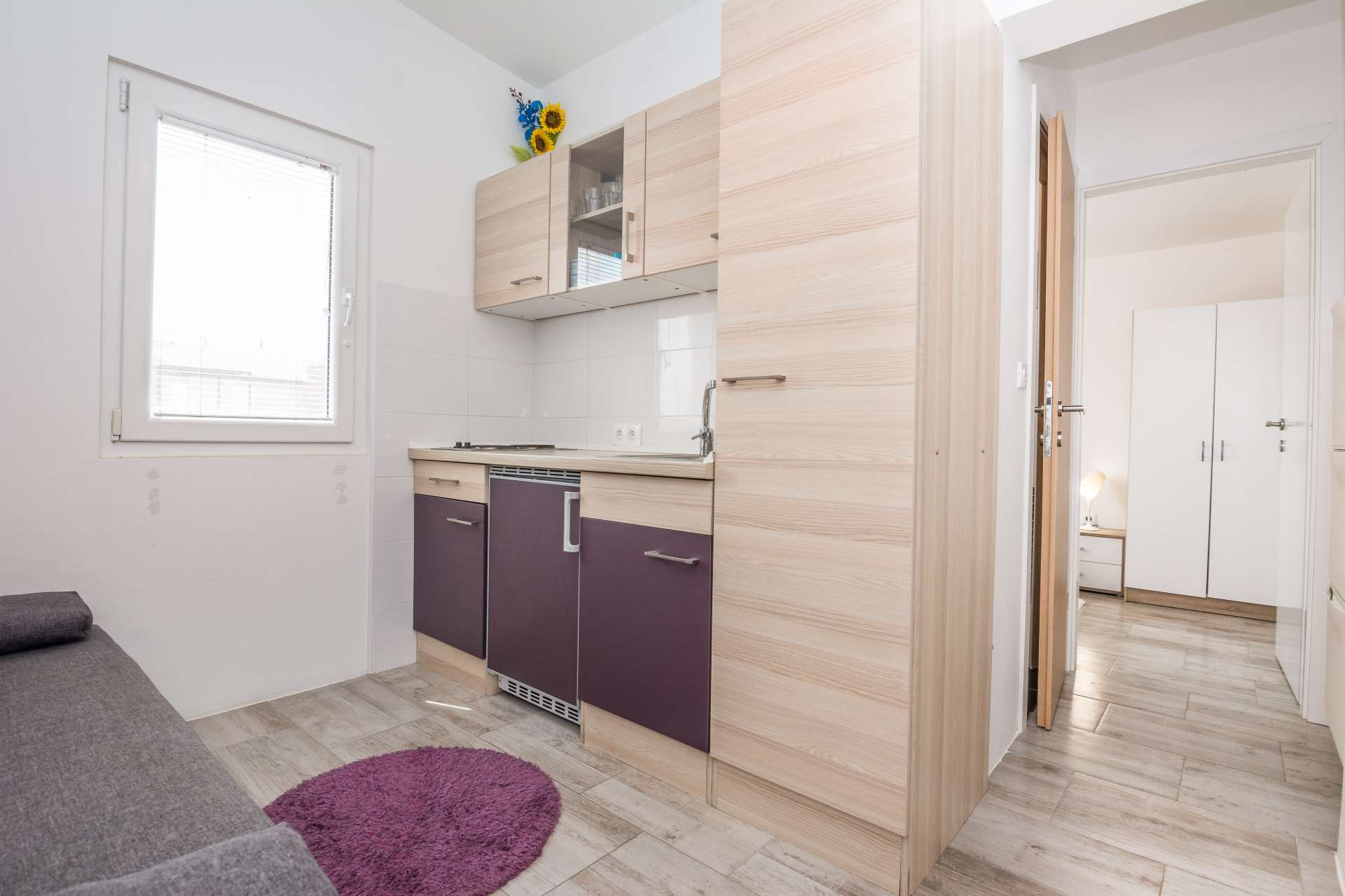 Apartment Ivanusevic 1