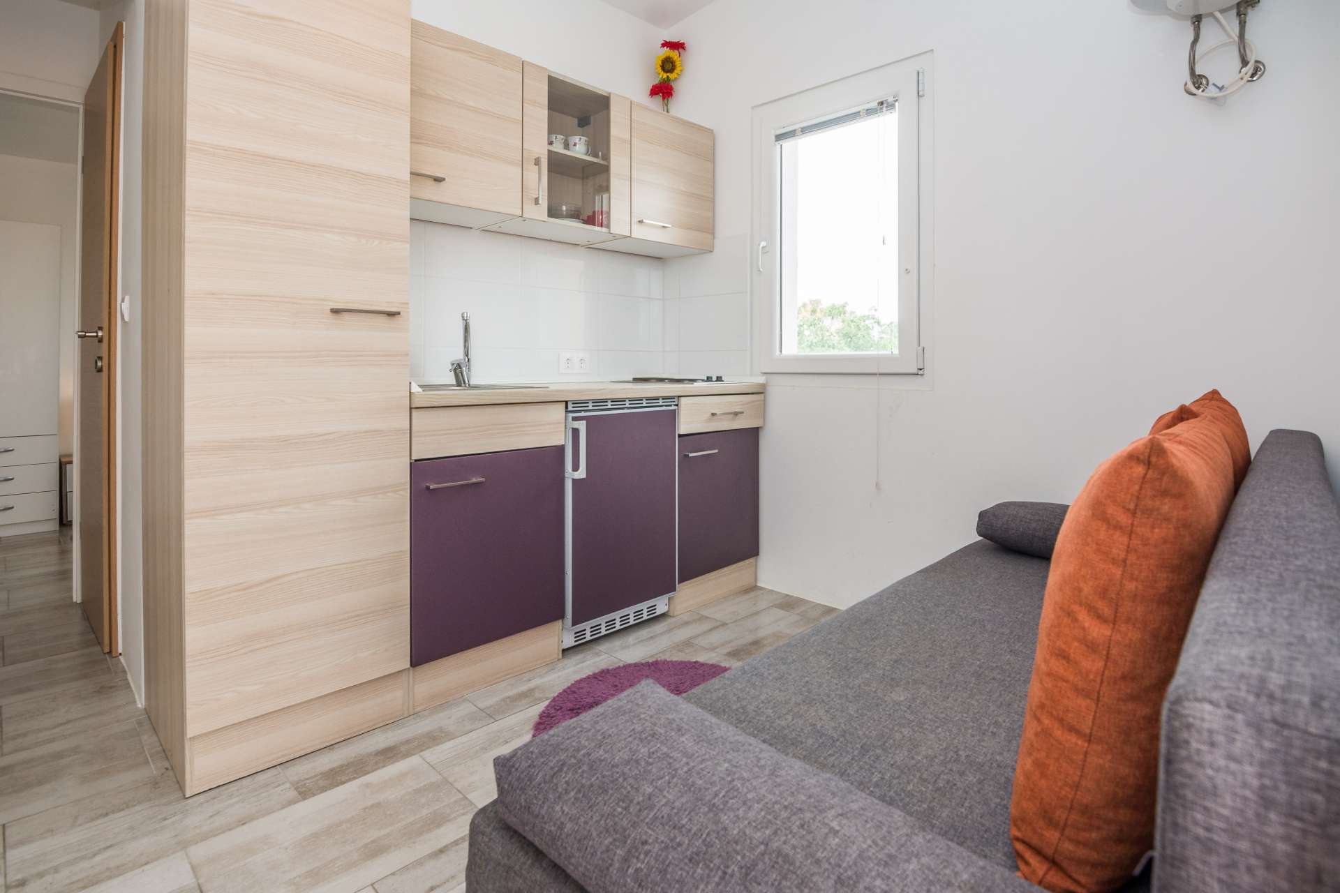 Apartment Ivanusevic 2