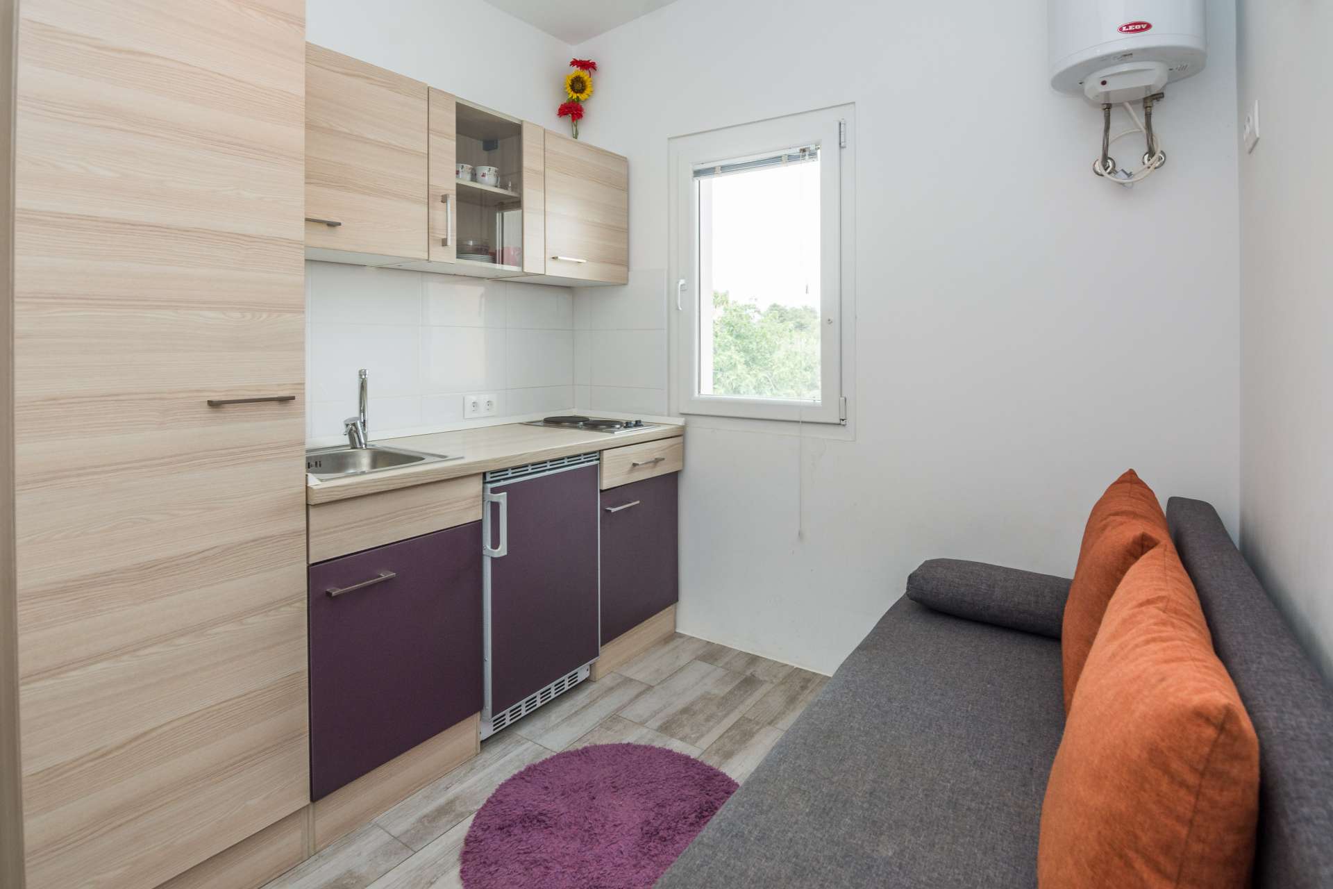 Apartment Ivanusevic 2