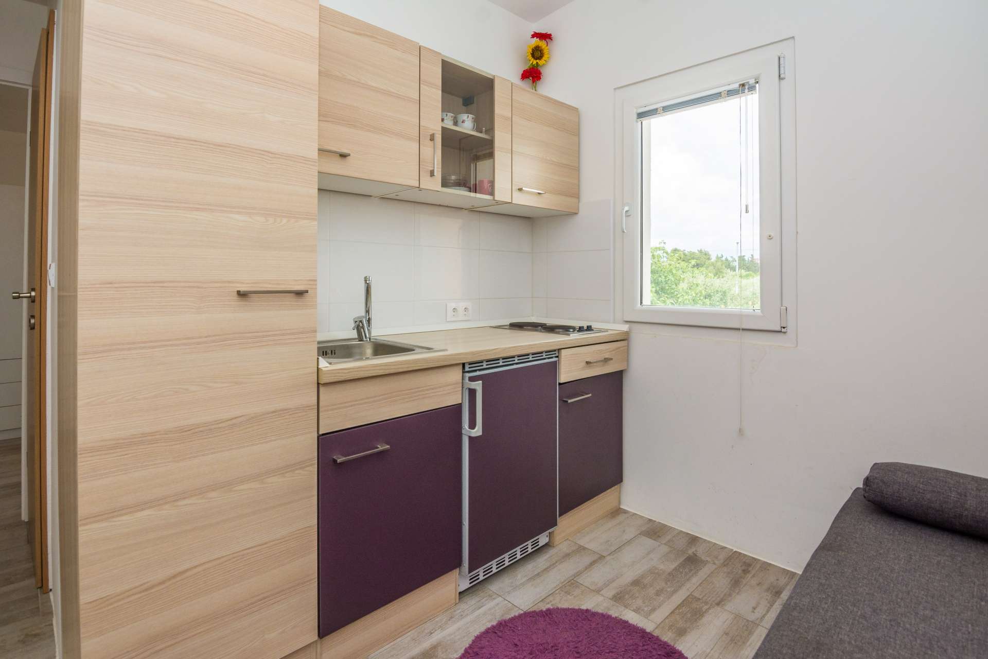 Apartment Ivanusevic 2