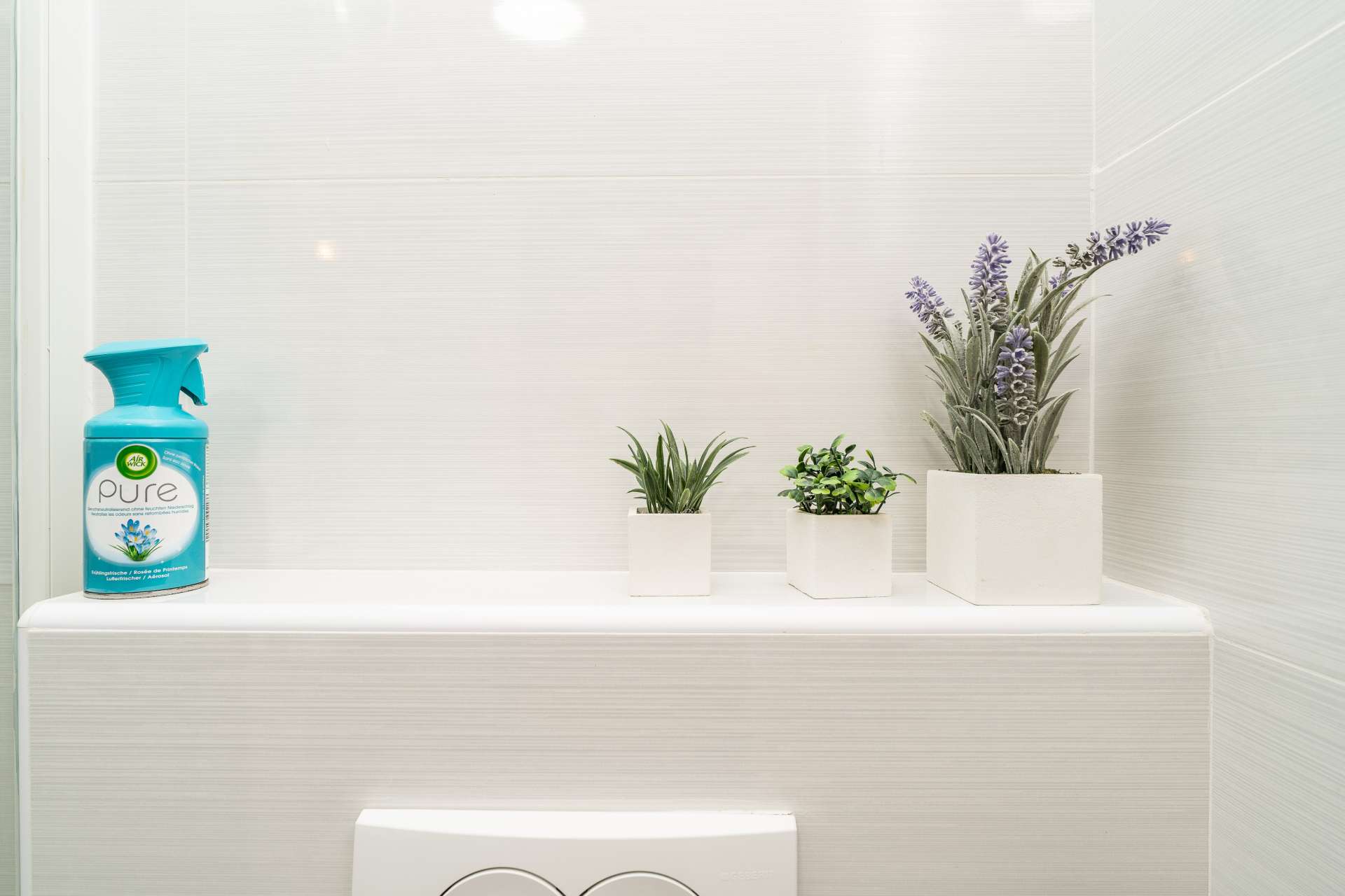 Apartment Grbic 5