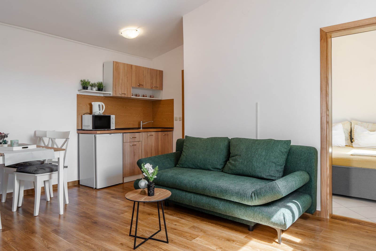 Apartment Ivancevic 1
